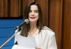 MARA CASEIRO SOLICITA APOIO DO ESTADO PARA AGRICULTORES DE PARAÍSO DAS ÁGUAS