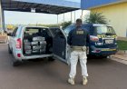 PRF APREENDE MAIS DE 156 KG DE DROGAS E PRENDE DOIS HOMENS NA BR-163 EM ELDORADO