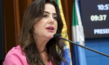 Plano Estadual de Combate à Violência Doméstica será elaborado, anuncia Mara Caseiro