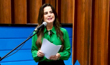 Mara Caseiro pede a limpeza das margens das rodovias MS-295 e MS-180