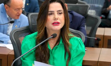 DEPUTADA MARA CASEIRO SOLICITA RETIRADA DE QUEBRA-MOLAS PROVISÓRIOS NA MS-320