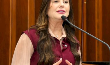 MARA CASEIRO LEVA PAUTAS DE MS A FLÁVIO BOLSONARO EM BRASÍLIA