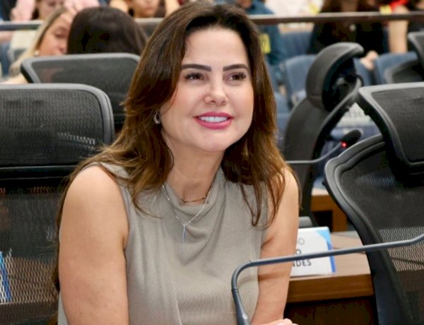 Mara Caseiro solicita reparos urgentes em ponte sobre o Rio Morumbizinho, na MS-295