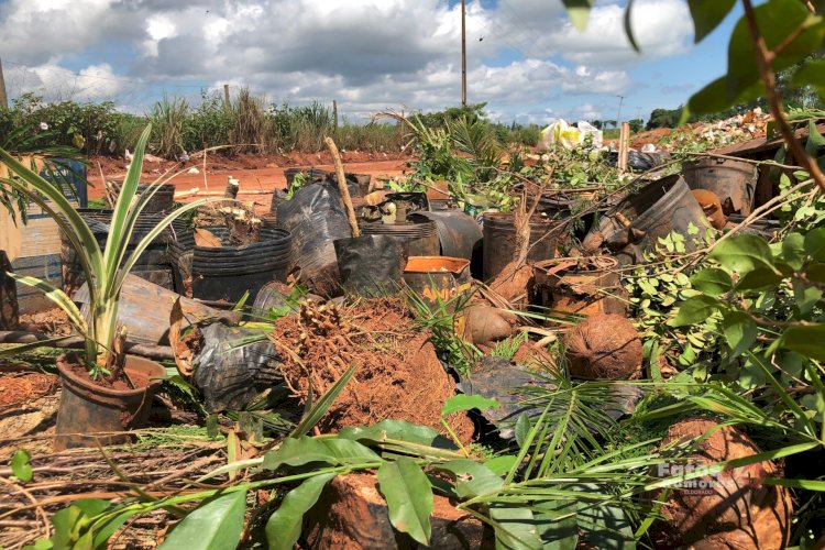 Empresário de Eldorado-MS Sofre Injustiça com Destruição de Mudas por Agente da IAGRO