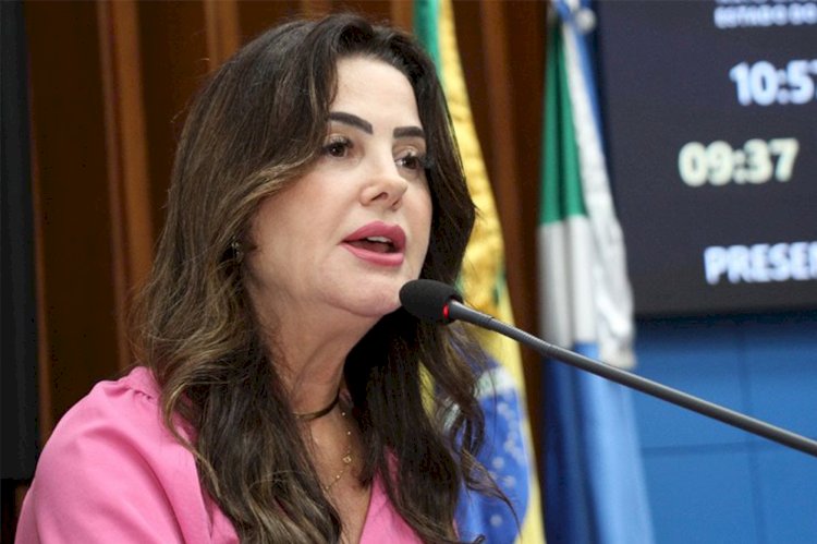 Plano Estadual de Combate à Violência Doméstica será elaborado, anuncia Mara Caseiro