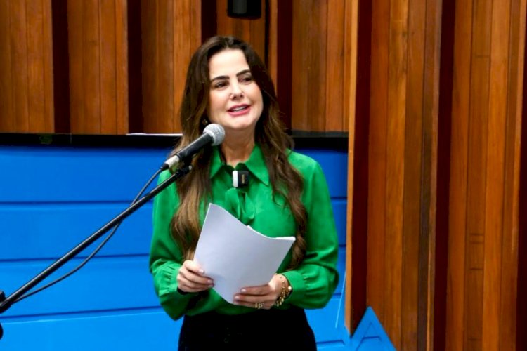 Mara Caseiro pede a limpeza das margens das rodovias MS-295 e MS-180