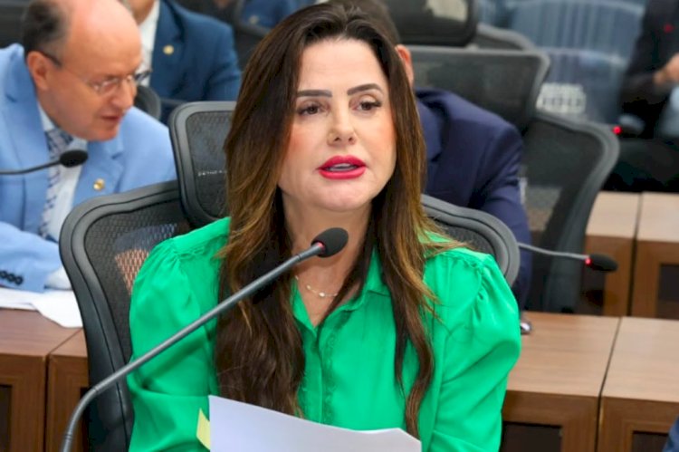 DEPUTADA MARA CASEIRO SOLICITA RETIRADA DE QUEBRA-MOLAS PROVISÓRIOS NA MS-320